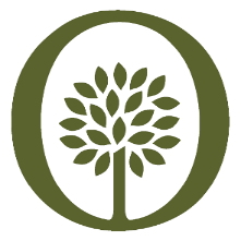 Green outline of the letter 